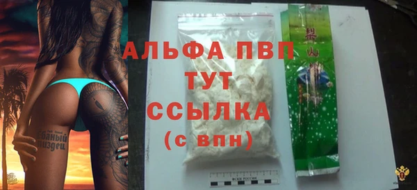 крисы Мегион