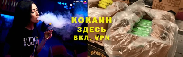 крисы Мегион