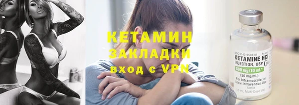 крисы Мегион