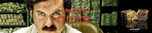 крисы Мегион