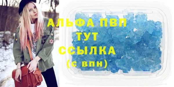 стаф Магас