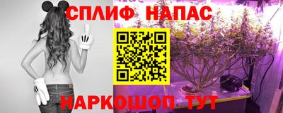 jwh Апшеронск